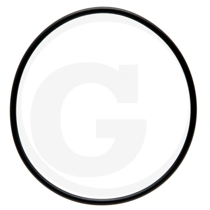 O-ring (rembehuizing aan transmissie)