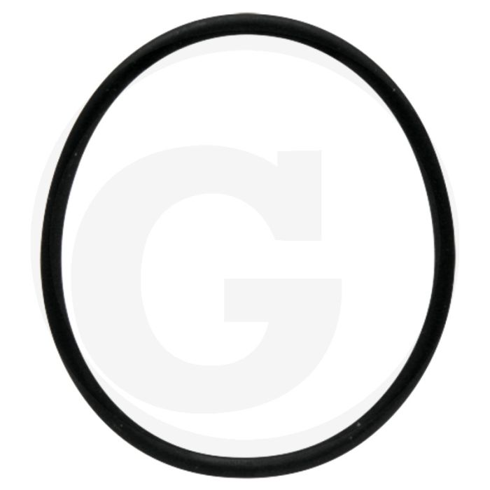 Afdichtring (voor filterdeksel)