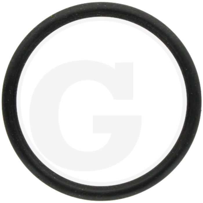 O-ring (regelstift) O-ring (regelstift)