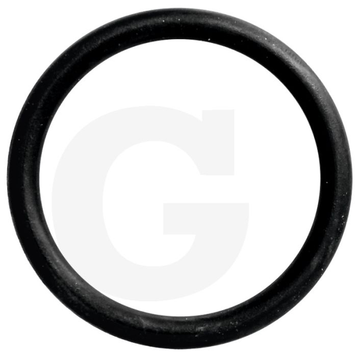 Afdichtring (thermostaathuis,  waterpomp)