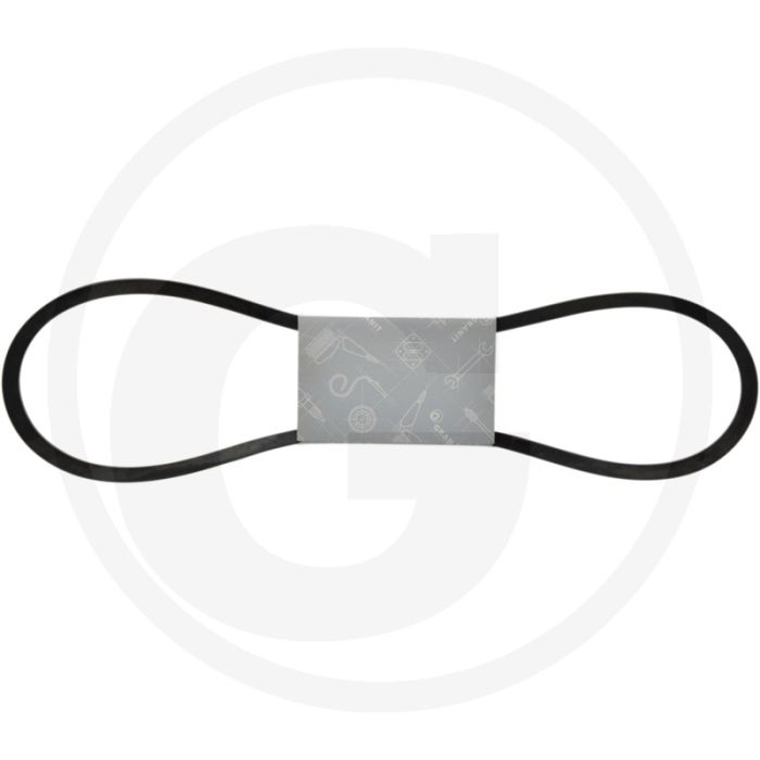 V-snaar voor OM 314, OM 364 motoren, lengte: 1.225 mm