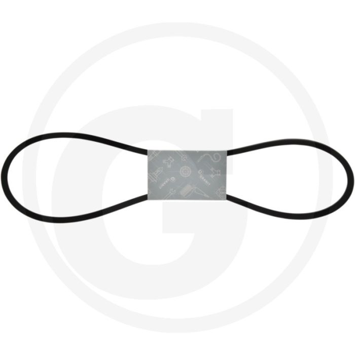 V-snaar voor Trac 1100, 1300, 1500, OM 352 - Waterpomp / dynamo