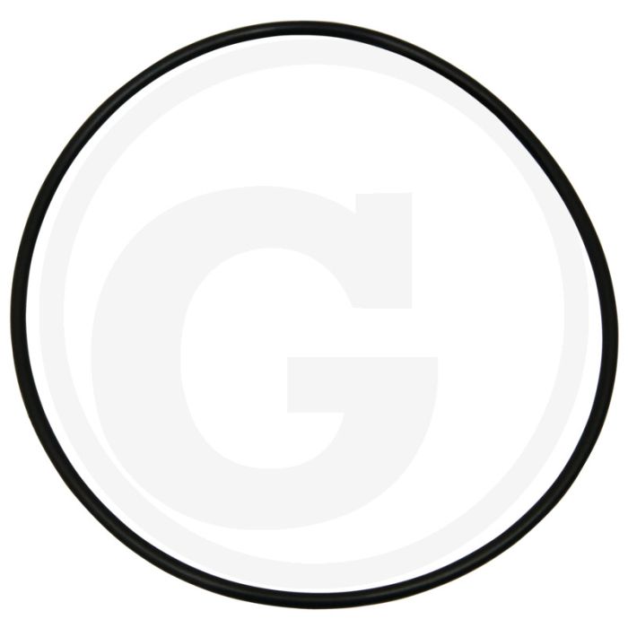 O-ring (cilinderbus, indien gewenst gebruiken)
