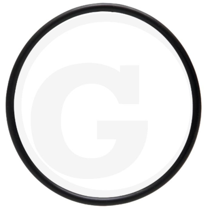 O-ring (dynamo) O-ring (dynamo)