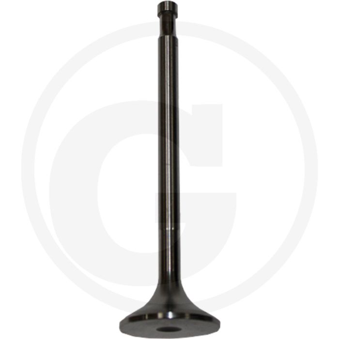Inlaatklep voor Steyr T 190, T 288, T 290