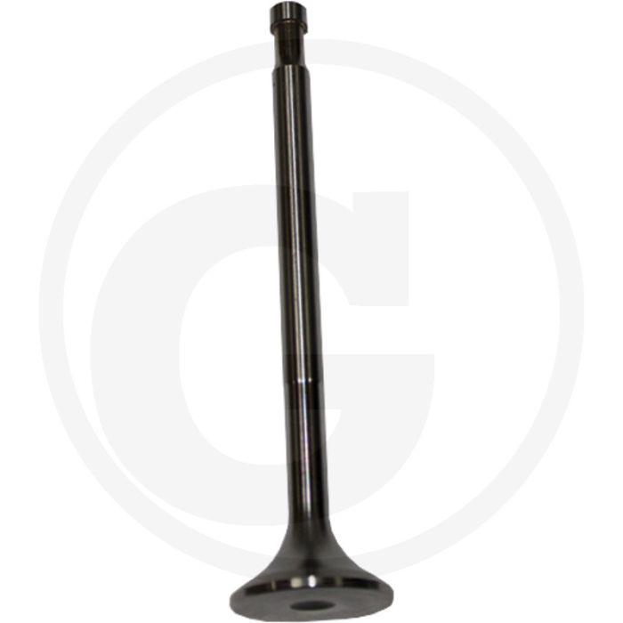 Uitlaatklep voor Steyr T 190, T 288, T 290