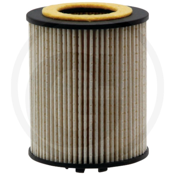 Brandstoffilter (passend voor PU 815 x)