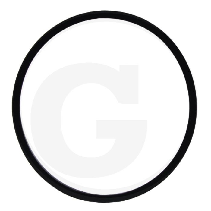 O-ring (voor filterglas 8009984)