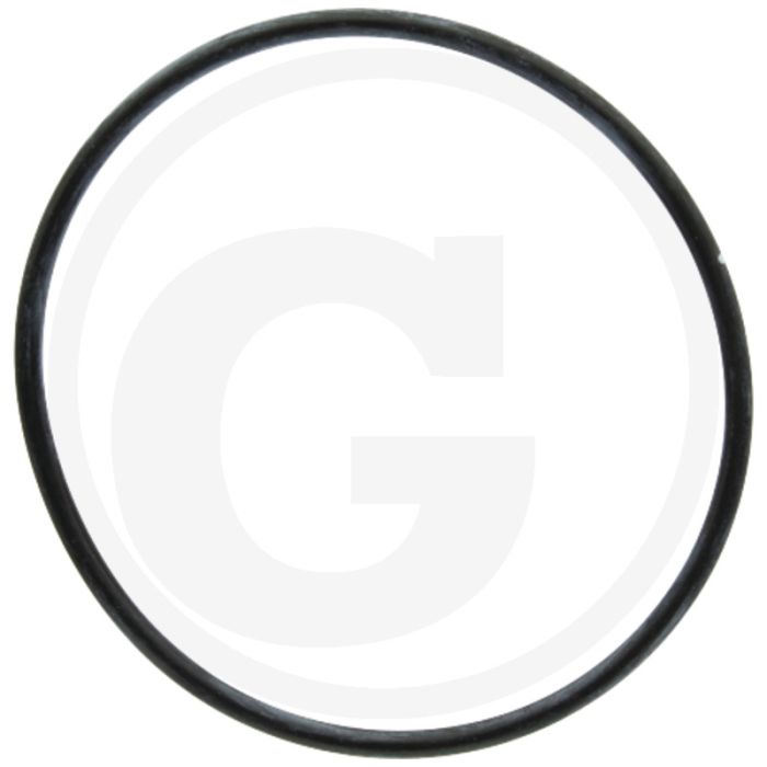 Afdichtring (voor brandstoffilter)