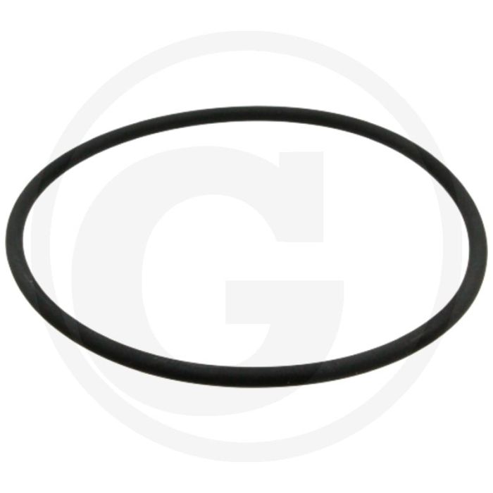 Afdichtring (voor brandstoffilter)
