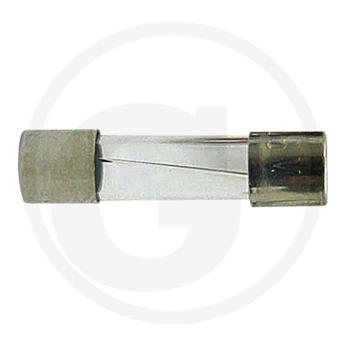 Glaszekeringen 20x5mm 4A 250V F-snel