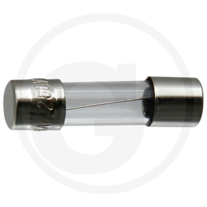 Glaszekeringen 8A 250V 20x5mm F-snel