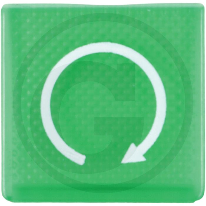 HELLA Symbool Motorstart Grün
