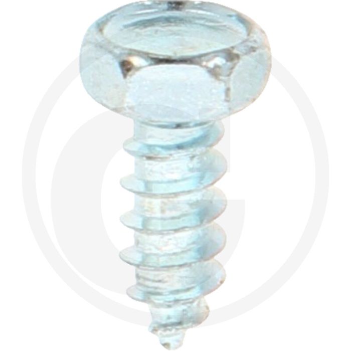 VPE250 zeskantbouten M3x9,5 DIN 7976 gegalvaniseerd staal 4.8 zeskantkop