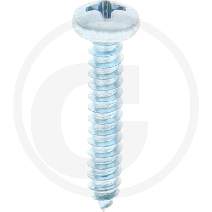 Bolkop plaatschroef 3,9 x 22 DIN 7981 (VPE100)