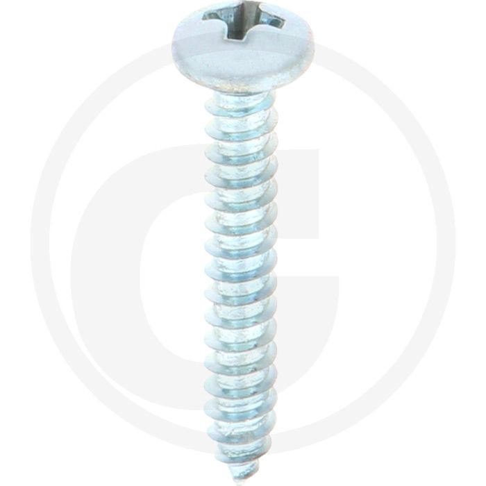 Bolkop plaatschroef 3,9 x 25 DIN 7981 (VPE100)