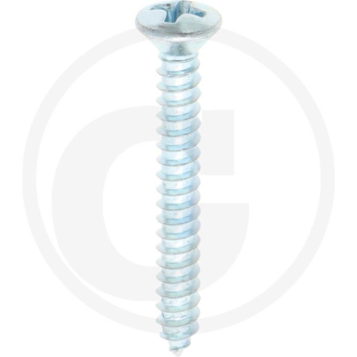Bolkop plaatschroef 3,9 x 32 DIN 7983 (VPE100)