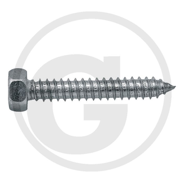 VPE250 zeskantbouten M3x9,5 DIN 7976 staal gegalvaniseerd 4.8 zeskantkop