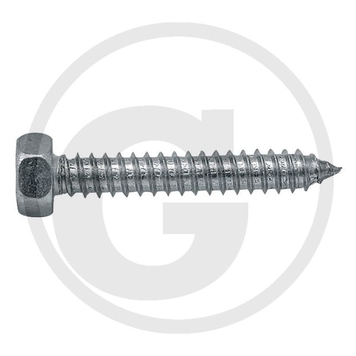 VPE250 zeskantbouten M3x22 DIN 7976 Staal Gegalvaniseerd Kwaliteit 4