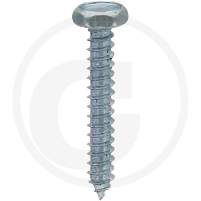 VPE250 zeskantbouten M3x25 DIN 7976 staal gegalvaniseerd 4.8 zeskantkop