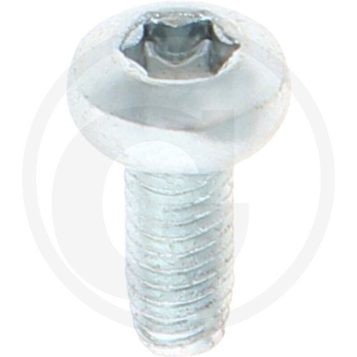 Zelfdraadvormende bout M4x10 DIN7500 (VPE1000)
