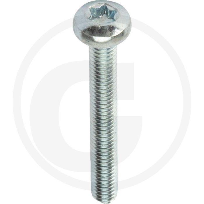 Bolcilinderkopschroeven DIN 7985 M4 x 32 staal 8.8 TORX® T20 gegalvaniseerd