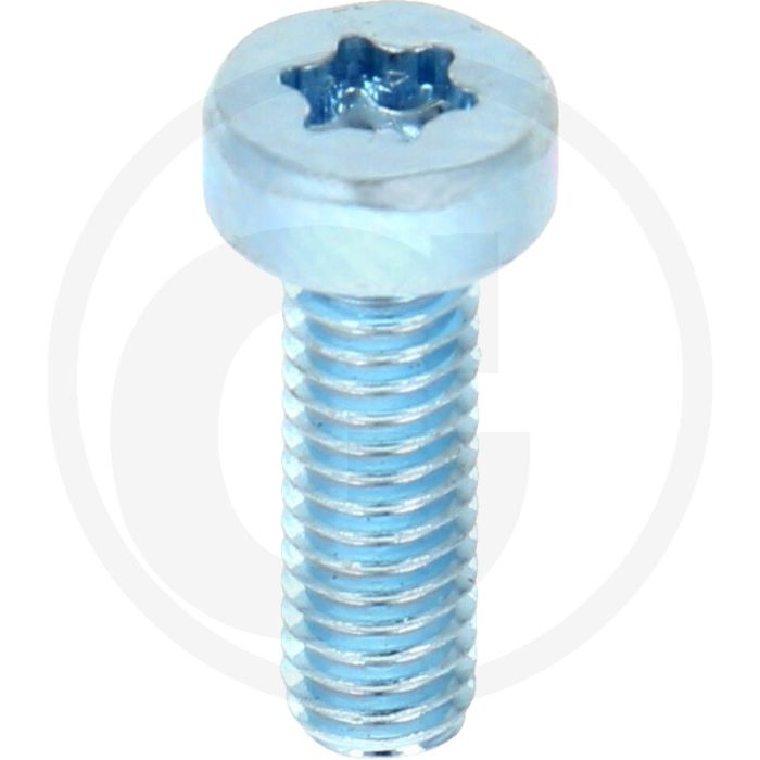 VPE500 cilinderkopbouten M4x12 DIN 7984 staal 8.8 TORX® gegalvaniseerd