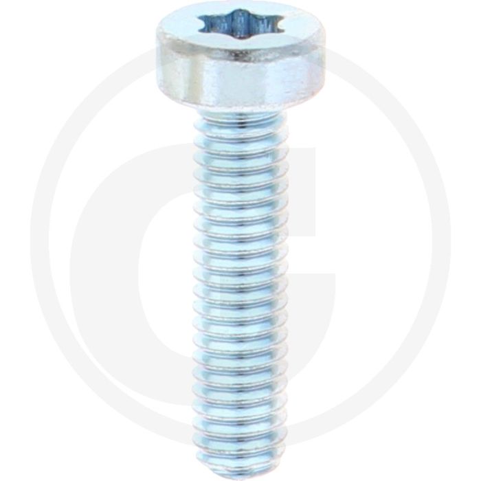 VPE500 cilinderkopbouten M4x16 DIN 7984 staal 8.8 verzinkt TORX T20