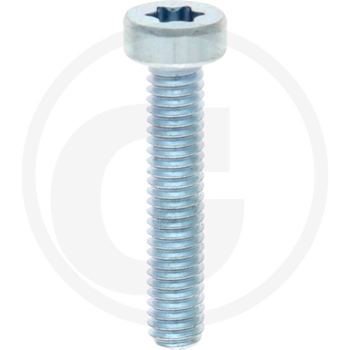 VPE500 cilinderkopbouten M4x20 DIN 7984 staal 8.8 gegalvaniseerd TORX® T20