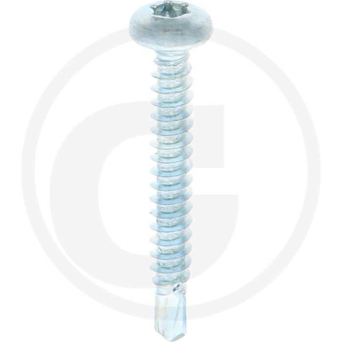 VPE500 zelfb. schroeven 4,2x32 DIN 7504 staal gegalvaniseerd bolle kop T20