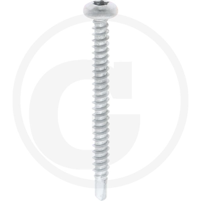 VPE500 zelfb. schroeven 4,2x45 DIN 7504 gegalvaniseerd staal T20 bolle kop