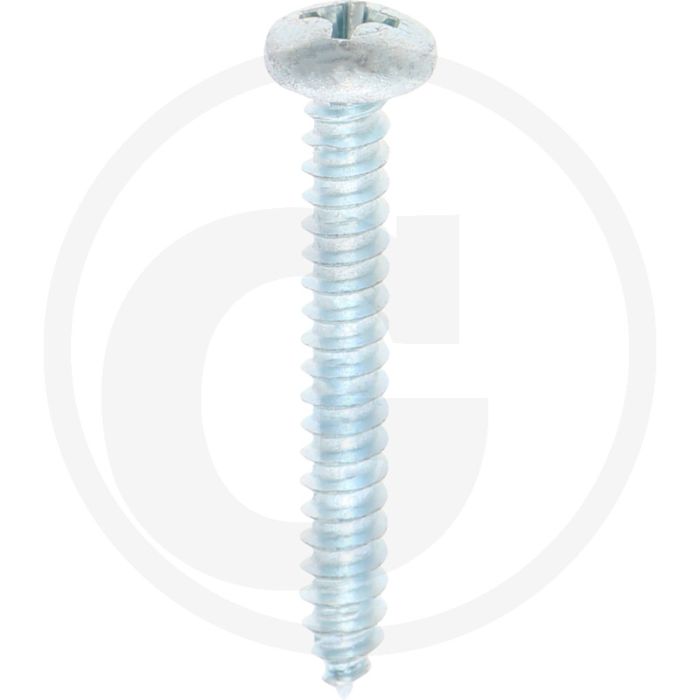 Bolkop plaatschroef 4,2 x 32 DIN 7981 (VPE100)