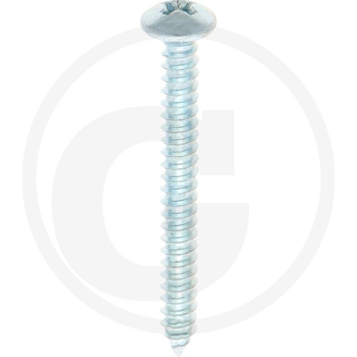 Bolkop plaatschroef 4,2 x 38 DIN 7981 (VPE100)