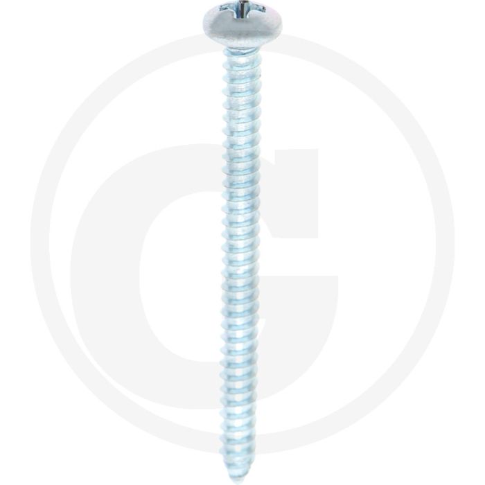 Bolkop plaatschroef 4,2 x 50 DIN 7981 (VPE100)