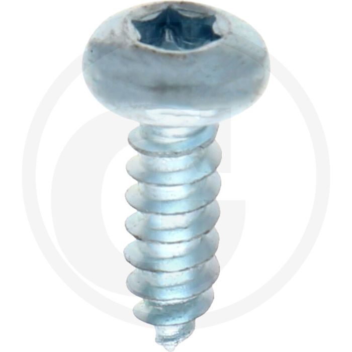 Bolkop plaatschroef 4,2 x 13 DIN 7981 (VPE1000)