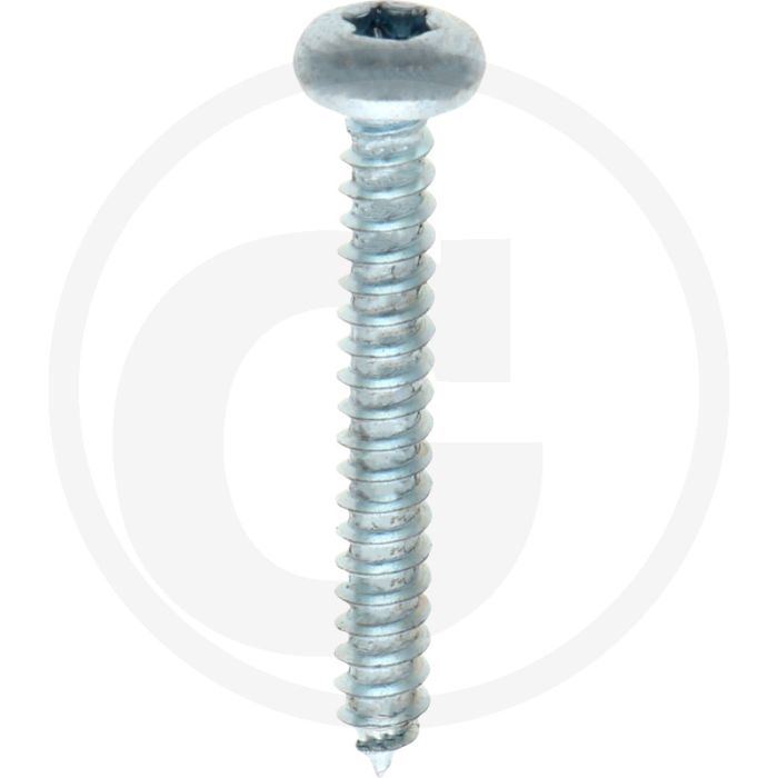 Bolkop plaatschroef 4,2 x 32 DIN 7981 (VPE500)