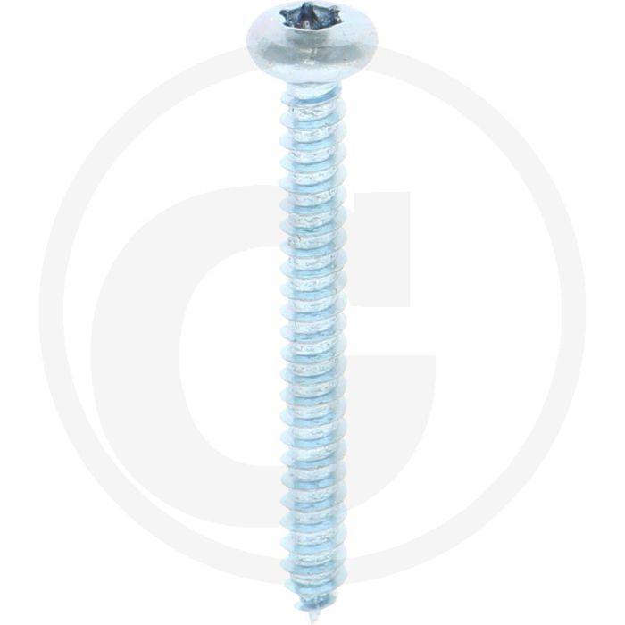 Bolkop plaatschroef 4,2 x 38 DIN 7981 (VPE500)