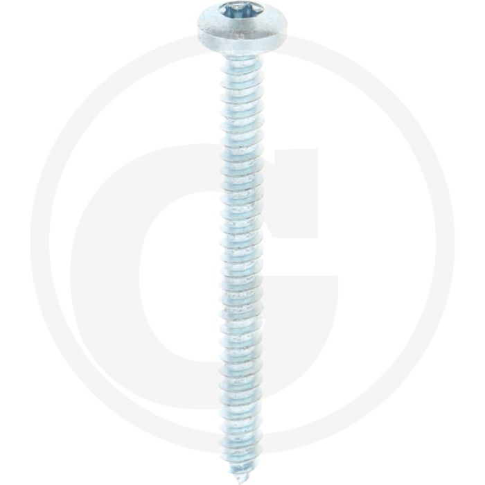 Bolkop plaatschroef 4,2 x 45 DIN 7981 (VPE500)