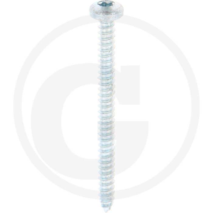 Bolkop plaatschroef 4,2 x 50 DIN 7981 (VPE500)