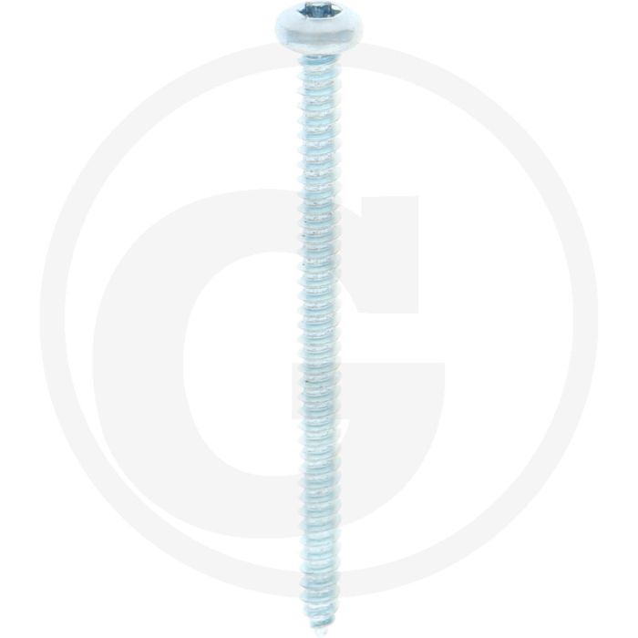 Bolkop plaatschroef 4,2 x 60 DIN 7981 (VPE500)