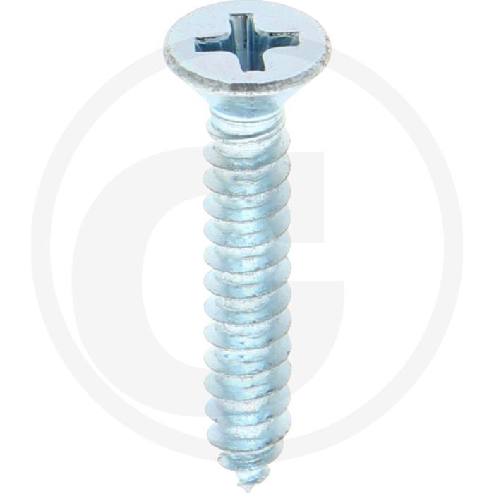 Verz. zelftappende schr. 4,2x25 DIN7982 (VPE100)
