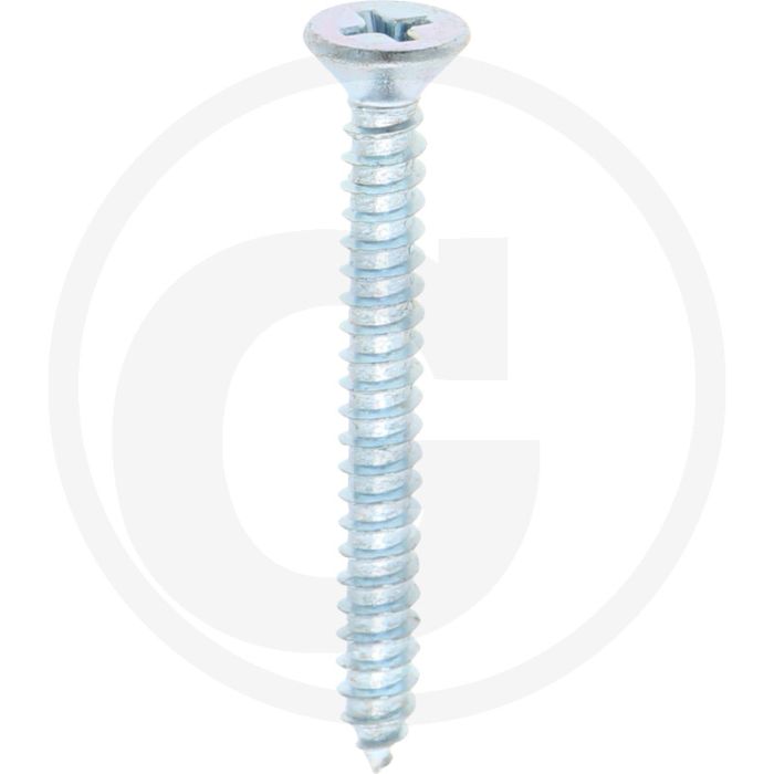 Verz. zelftappende schr. 4,2x38 DIN7982 (VPE100)