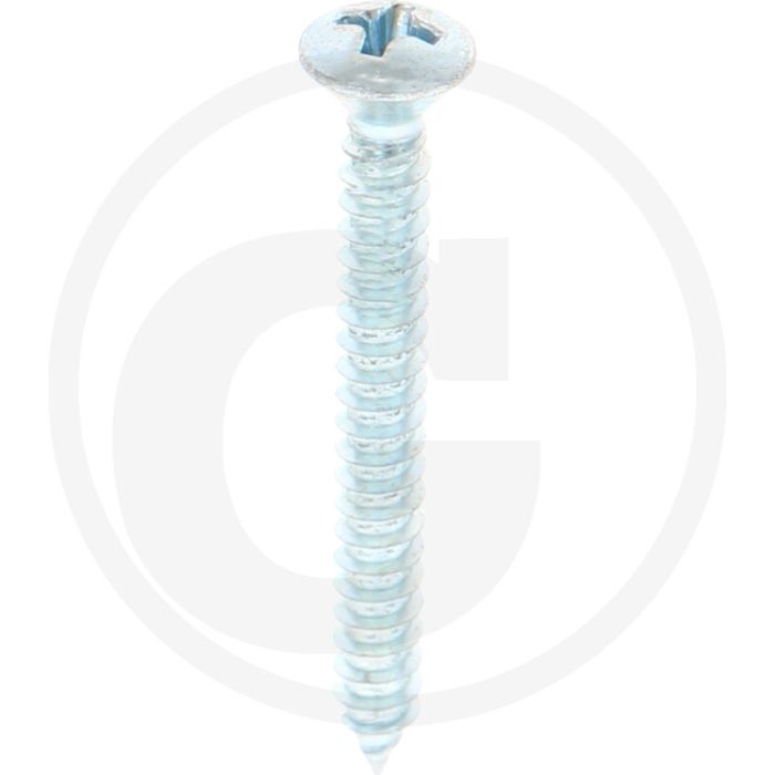 Bolkop plaatschroef 4,2 x 38 DIN 7983 (VPE100)