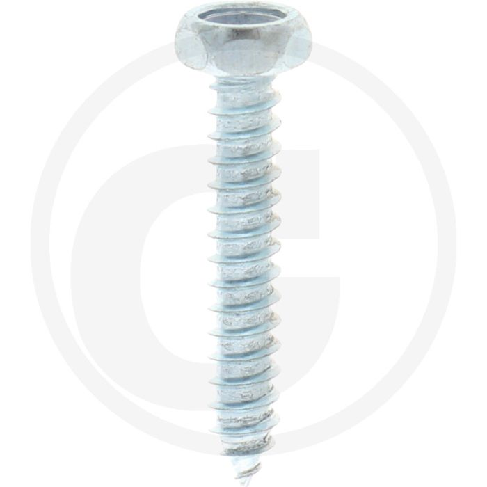 VPE250 zeskantbouten M4x25 DIN 7976 staal gegalvaniseerd kwaliteit 4