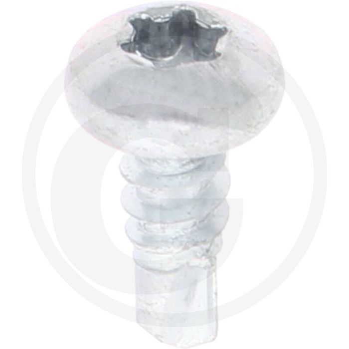 VPE1000 zelfb. schroeven 4,8x13 DIN 7504 staal gegalv. bolle kop T25