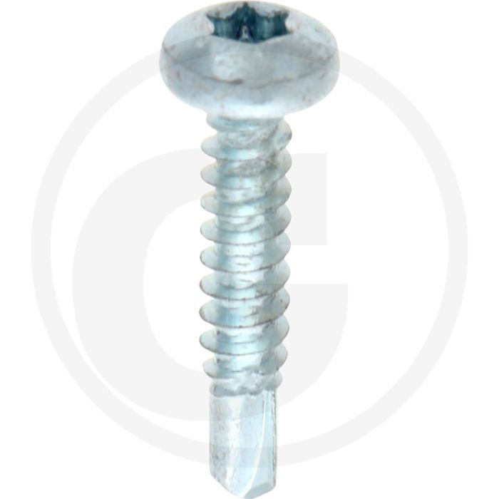 VPE1000 zelfb. schroeven 4,8x25 DIN 7504 staal gegalvaniseerd bolle kop T25
