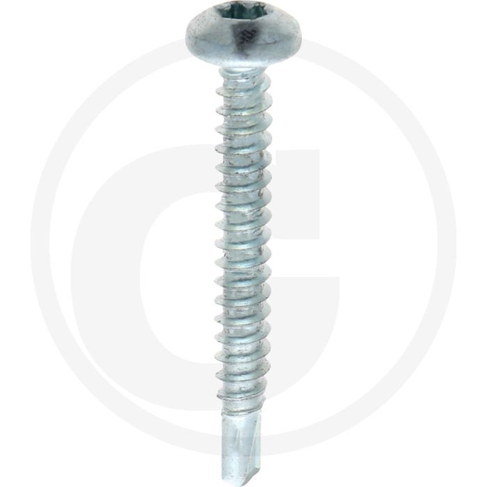 VPE500 zelfb. schroeven 4,8x38 DIN 7504 staal gegalvaniseerd bolle kop T25