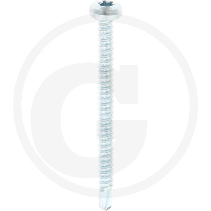 VPE250 zelfb. schroeven 4,8x60 DIN 7504 staal gegalv. T25 bolle kop