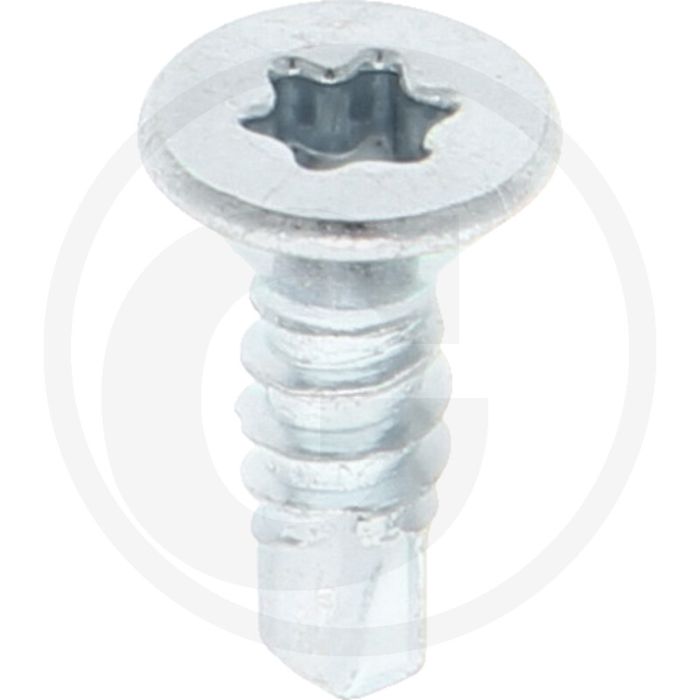 VPE1000 zelfb. schroeven 4,8x16 DIN 7504 staal gegalvaniseerd T25 kruiskop