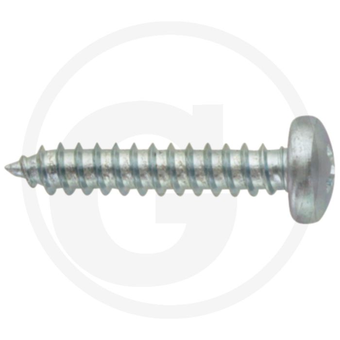 Bolkop plaatschroef 4,8 x 25 DIN 7981 (VPE100)